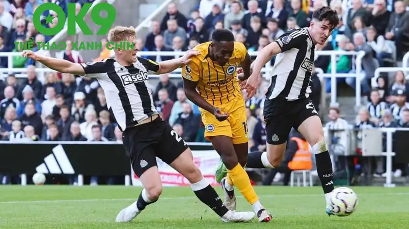 Trận đấu giữa Brighton và Newcastle sẽ rất hấp dẫn. (Ảnh: Internet) Trận đấu giữa Brighton và Newcastle sẽ rất hấp dẫn. (Ảnh: Internet)